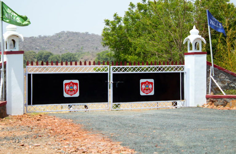 65129340 2259914020763286 5835228665260015616 n 768x502