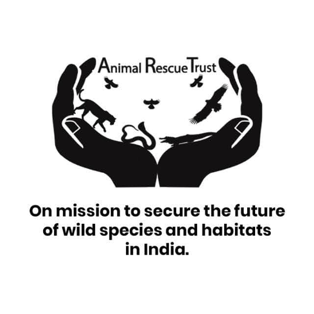 animalrescue