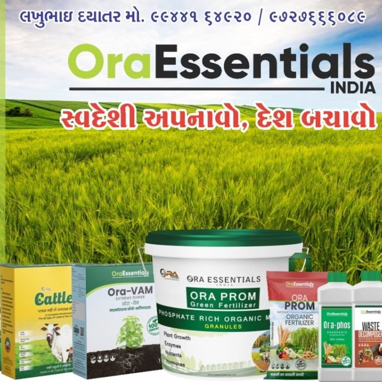 ORA INDIA 768x768