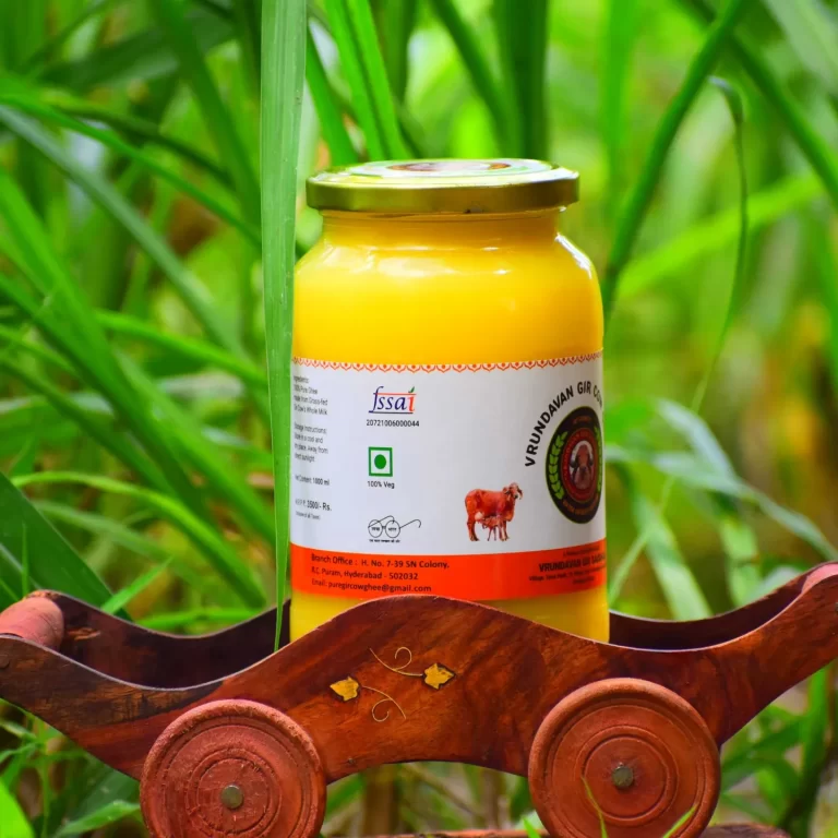 shreevrundavangir image 768x768