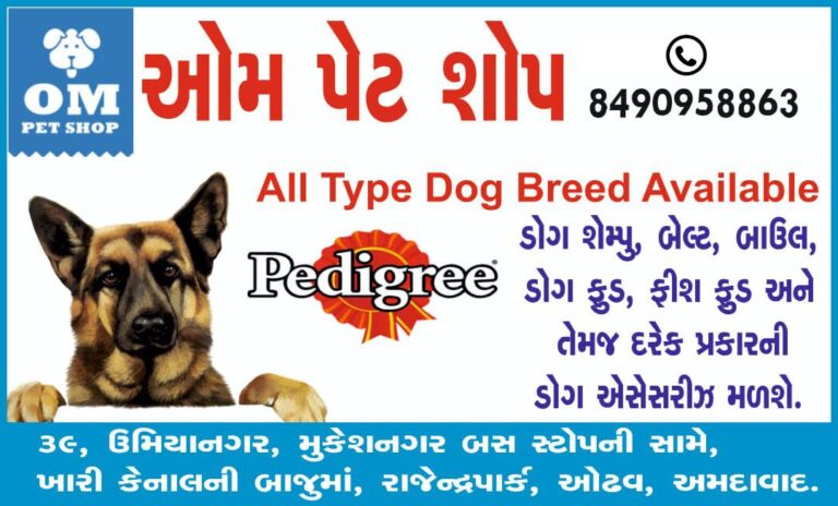 1693979056 Upload Image ompetshop 768x464